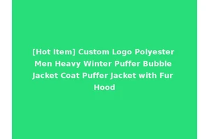 [Hot Item] Custom Logo Polyester Men Heavy Winter Puffer Bubble Jacket Coat Puffer Jacket with Fur Hood