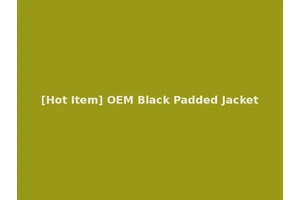 [Hot Item] OEM Black Padded Jacket