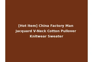 [Hot Item] China Factory Man Jacquard V-Neck Cotton Pullover Knitwear Sweater
