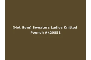 [Hot Item] Sweaters Ladies Knitted Pounch Ak20851