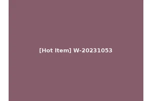 [Hot Item] W-20231053