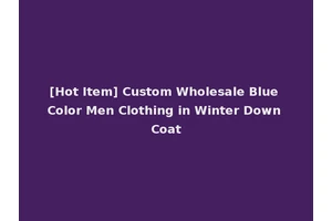 [Hot Item] Custom Wholesale Blue Color Men Clothing in Winter Down Coat