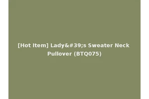 [Hot Item] Lady's Sweater Neck Pullover (BTQ075)
