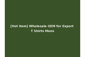 [Hot Item] Wholesale OEM for Export T Shirts Mens