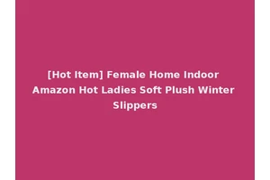 [Hot Item] Female Home Indoor Amazon Hot Ladies Soft Plush Winter Slippers