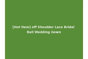 [Hot Item] off Shoulder Lace Bridal Ball Wedding Gown