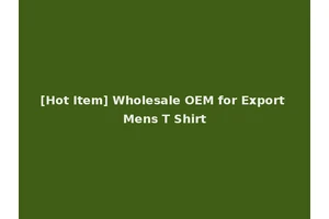 [Hot Item] Wholesale OEM for Export Mens T Shirt