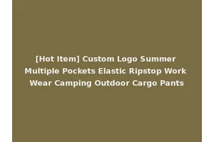 [Hot Item] Custom Logo Summer Multiple Pockets Elastic Ripstop Work Wear Camping Outdoor Cargo Pants