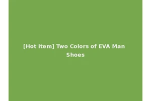 [Hot Item] Two Colors of EVA Man Shoes