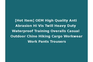 [Hot Item] OEM High Quality Anti Abrasion Hi Vis Twill Heavy Duty Waterproof Training Overalls Casual Outdoor Chino Hiking Cargo Workwear Work Pants Trousers