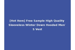 [Hot Item] Free Sample High Quality Sleeveless Winter Down Hooded Men′ S Vest