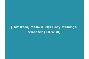 [Hot Item] Men's Grey Melange Sweater (KX-W38)