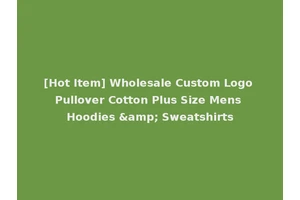 [Hot Item] Wholesale Custom Logo Pullover Cotton Plus Size Mens Hoodies &amp; Sweatshirts