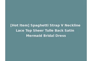 [Hot Item] Spaghetti Strap V Neckline Lace Top Sheer Tulle Back Satin Mermaid Bridal Dress