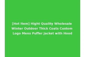[Hot Item] Hight Quality Wholesale Winter Outdoor Thick Coats Custom Logo Mens Puffer Jacket with Hood