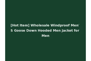 [Hot Item] Wholesale Windproof Men′ S Goose Down Hooded Men Jacket for Men