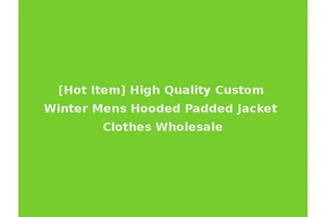 [Hot Item] High Quality Custom Winter Mens Hooded Padded Jacket Clothes Wholesale