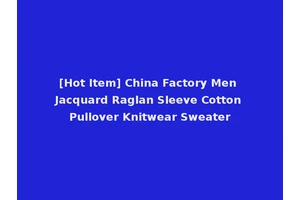 [Hot Item] China Factory Men Jacquard Raglan Sleeve Cotton Pullover Knitwear Sweater