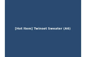 [Hot Item] Twinset Sweater (A6)