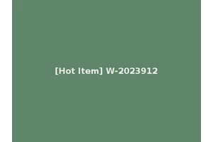 [Hot Item] W-2023912