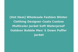 [Hot Item] Wholesale Fashion Winter Clothing Designer Coats Custom Multicolor Jacket Soft Waterproof Outdoor Bubble Men′ S Down Puffer Jacket
