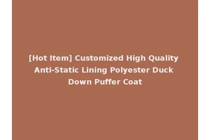 [Hot Item] Customized High Quality Anti-Static Lining Polyester Duck Down Puffer Coat