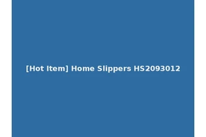 [Hot Item] Home Slippers HS2093012