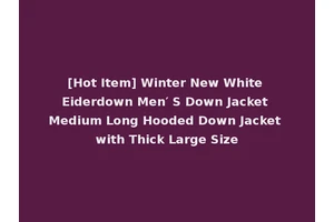 [Hot Item] Winter New White Eiderdown Men′ S Down Jacket Medium Long Hooded Down Jacket with Thick Large Size