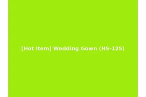 [Hot Item] Wedding Gown (HS-125)