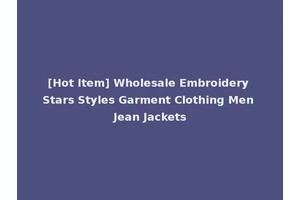 [Hot Item] Wholesale Embroidery Stars Styles Garment Clothing Men Jean Jackets