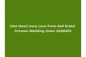[Hot Item] Ivory Lace Prom Ball Bridal Dresses Wedding Gown Qh66003