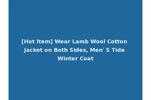 [Hot Item] Wear Lamb Wool Cotton Jacket on Both Sides, Men′ S Tide Winter Coat