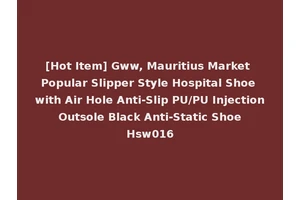 [Hot Item] Gww, Mauritius Market Popular Slipper Style Hospital Shoe with Air Hole Anti-Slip PU/PU Injection Outsole Black Anti-Static Shoe Hsw016