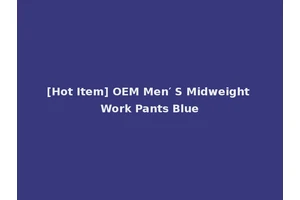 [Hot Item] OEM Men′ S Midweight Work Pants Blue