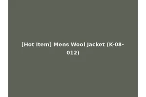 [Hot Item] Mens Wool Jacket (K-08-012)