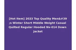 [Hot Item] 2023 Top Quality Men's Winter Short Middle Weight Casual Quilted Regular Hooded Nv-014 Down Jacket