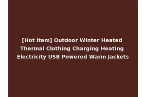 [Hot Item] Outdoor Winter Heated Thermal Clothing Charging Heating Electricity USB Powered Warm Jackets