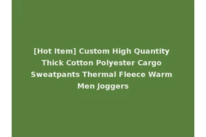 [Hot Item] Custom High Quantity Thick Cotton Polyester Cargo Sweatpants Thermal Fleece Warm Men Joggers