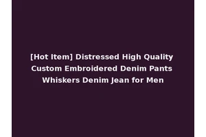 [Hot Item] Distressed High Quality Custom Embroidered Denim Pants Whiskers Denim Jean for Men