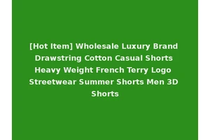 [Hot Item] Wholesale Luxury Brand Drawstring Cotton Casual Shorts Heavy Weight French Terry Logo Streetwear Summer Shorts Men 3D Shorts