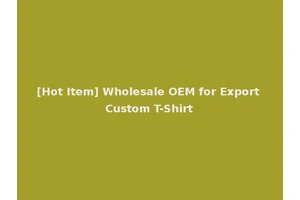 [Hot Item] Wholesale OEM for Export Custom T-Shirt