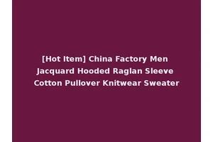 [Hot Item] China Factory Men Jacquard Hooded Raglan Sleeve Cotton Pullover Knitwear Sweater