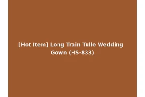 [Hot Item] Long Train Tulle Wedding Gown (HS-833)