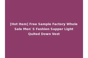 [Hot Item] Free Sample Factory Whole Sale Men′ S Fashion Supper Light Quited Down Vest