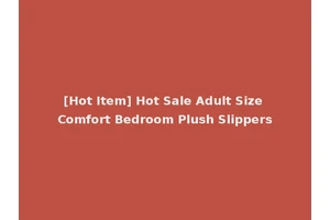 [Hot Item] Hot Sale Adult Size Comfort Bedroom Plush Slippers