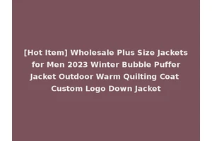 [Hot Item] Wholesale Plus Size Jackets for Men 2023 Winter Bubble Puffer Jacket Outdoor Warm Quilting Coat Custom Logo Down Jacket