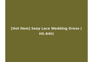 [Hot Item] Sexy Lace Wedding Dress (HS-840)