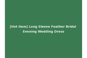 [Hot Item] Long Sleeve Feather Bridal Evening Wedding Dress
