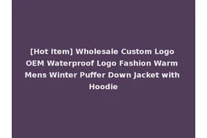 [Hot Item] Wholesale Custom Logo OEM Waterproof Logo Fashion Warm Mens Winter Puffer Down Jacket with Hoodie