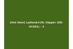 [Hot Item] Ladies' Slipper (KB-HC001) - 3